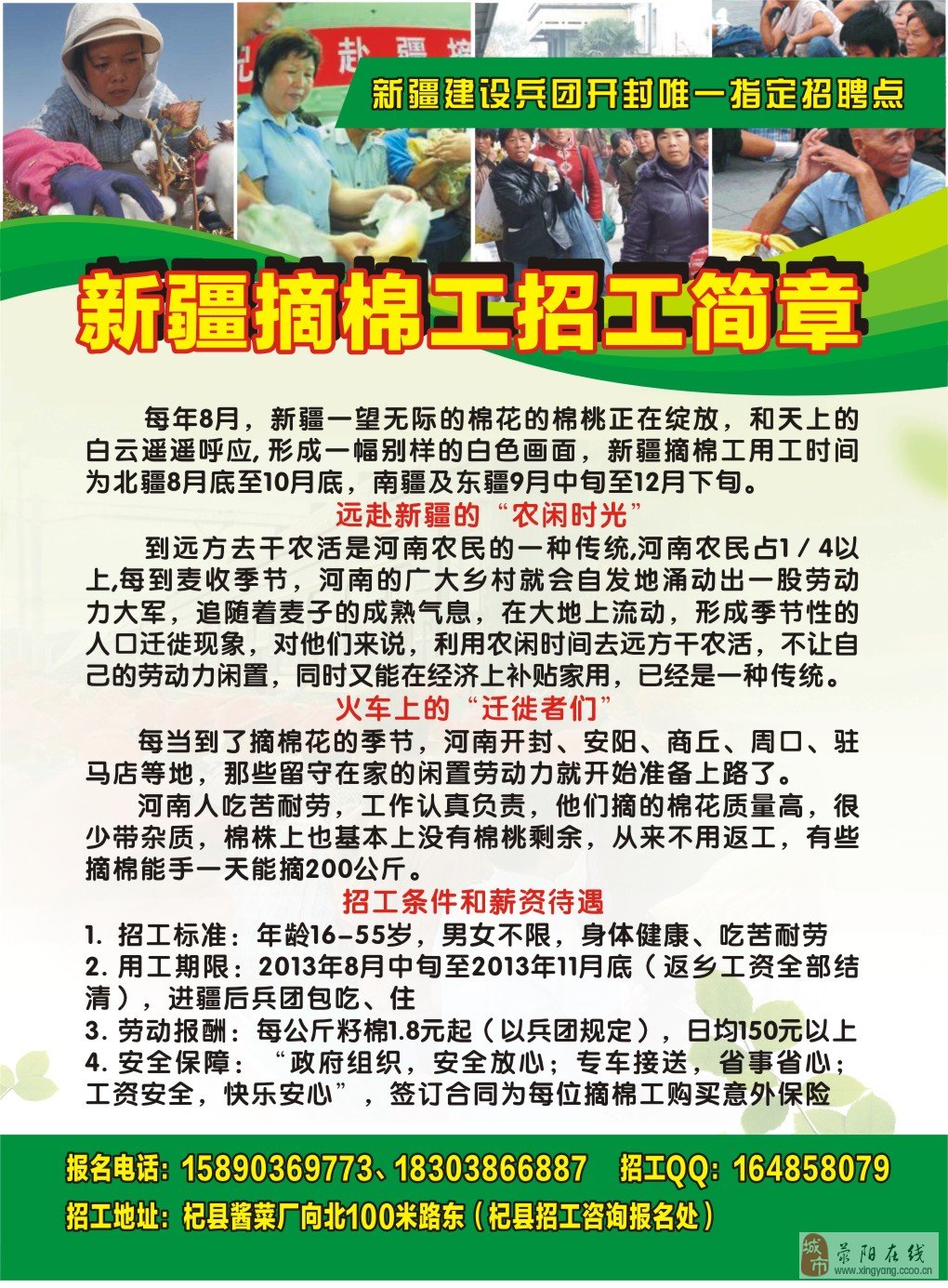 新疆招聘快讯，最新职位信息汇总