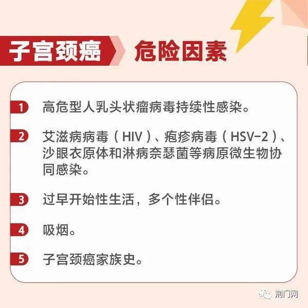 荆门就业新动态，挖掘最新招聘信息与职业机遇