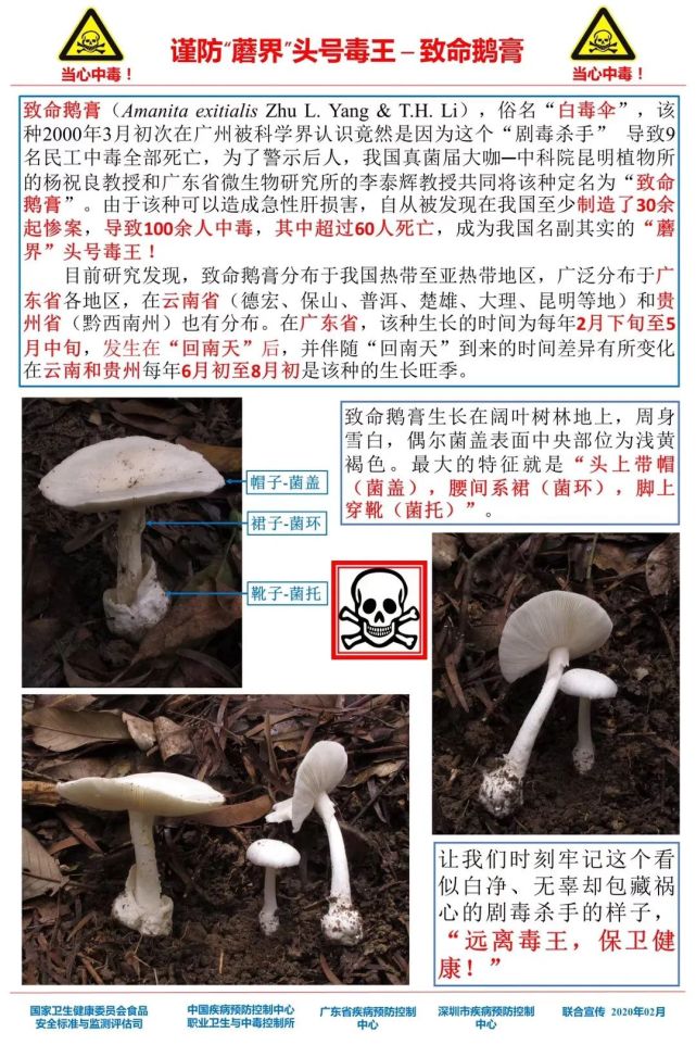 涵江小鱼网最新新闻速递