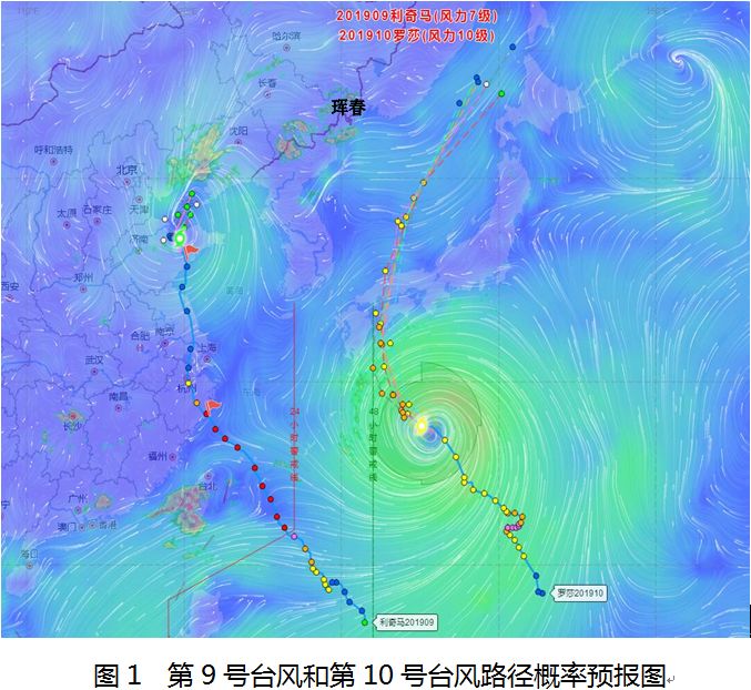 台风最新动态解析，今日台风消息全面梳理