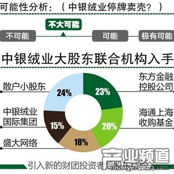 盛大借壳上市最新动态，开启企业战略布局新篇章