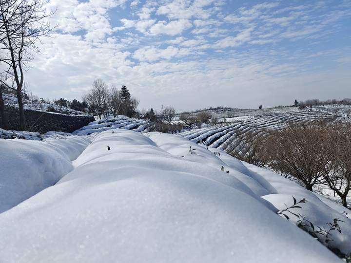 冬日雪景，白色奇迹的最新篇章