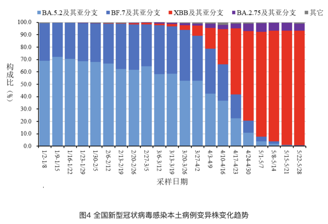 2024年全国疫情最新统计数据概览