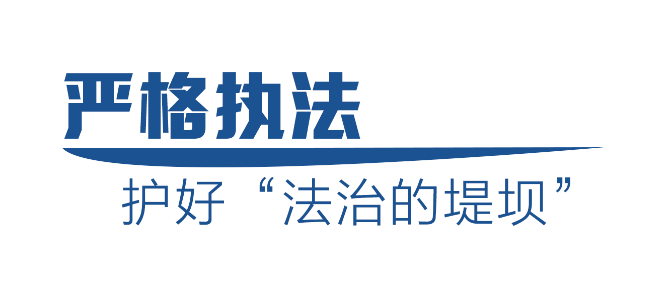 中国科技创新与社会发展的辉煌篇章，最新成就概览