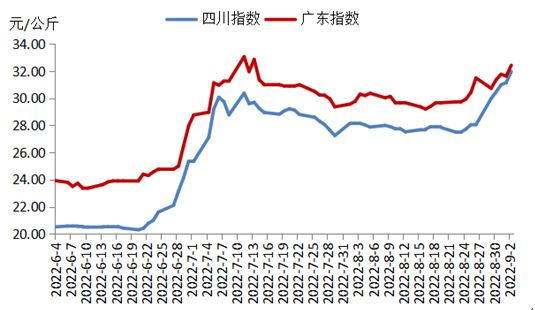 2024年11月9日 第4页